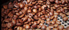 Tecoffe Fusion Wellness in Your Daily Ritual
